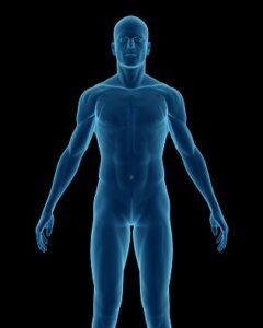 THE EFFECT OF WATER ON THE HUMAN BODY