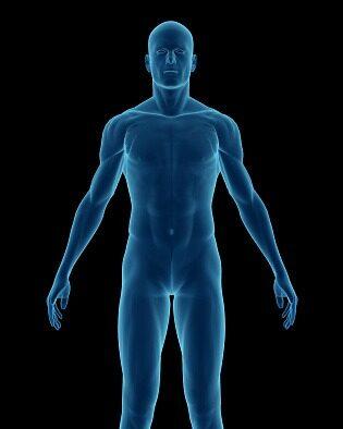 THE EFFECT OF WATER ON THE HUMAN BODY