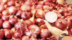 Why you should eat onions in spring 2022